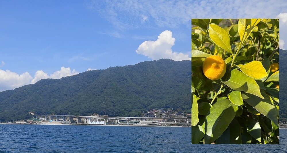 PRIMERA JAPAN】LX610導入事例（ヤマサンファーム 様）